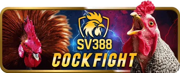 Chọn sảnh đá gà max88